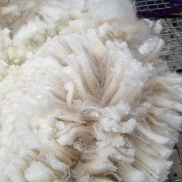 MicroCombed alpaca fleece, the essential difference
